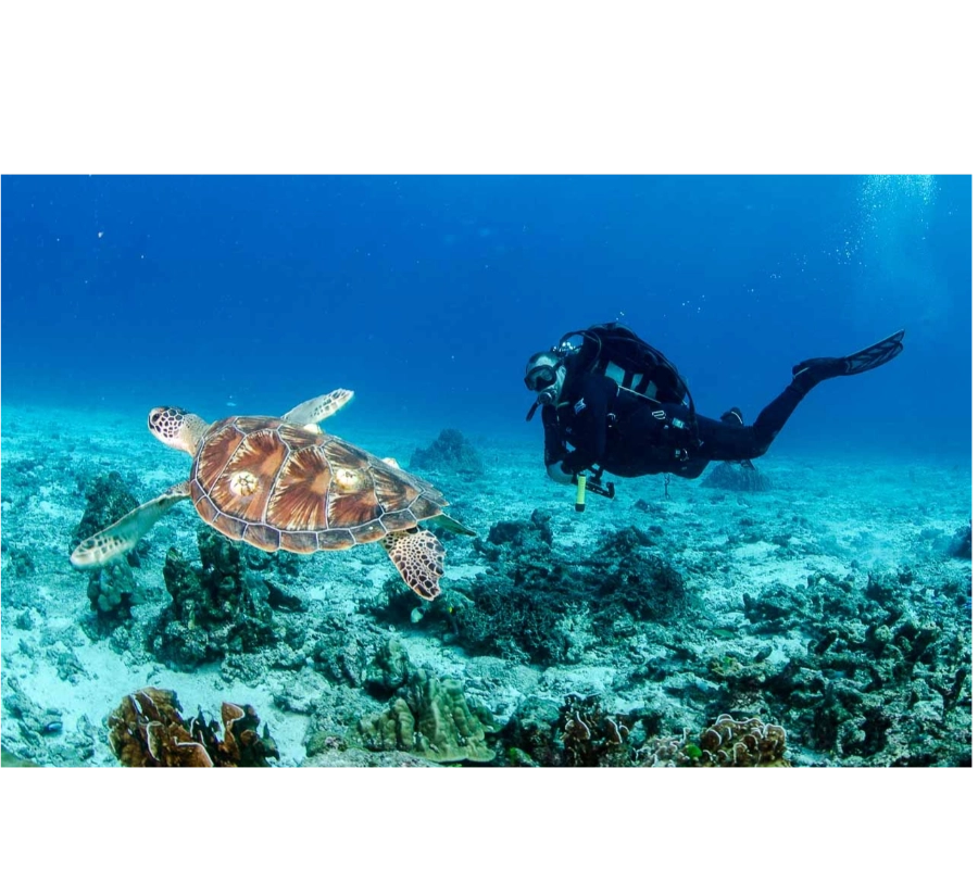 Phuket/Tayland Dalış Turu 2026