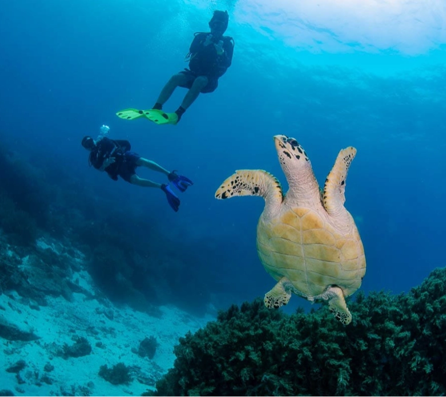 Phuket/Tayland Dalış Turu 2026