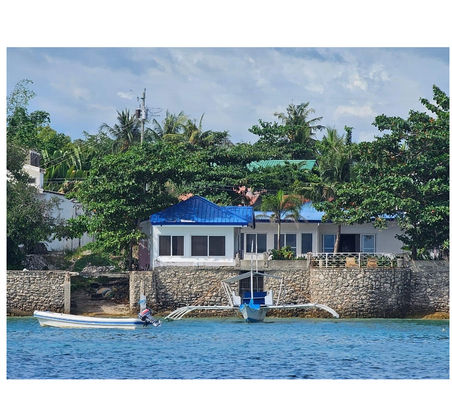 Filipinler Moalboal Dalış Turu 3