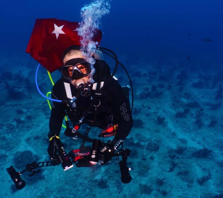 Southern Maldives Tiger Shark Diving Tour