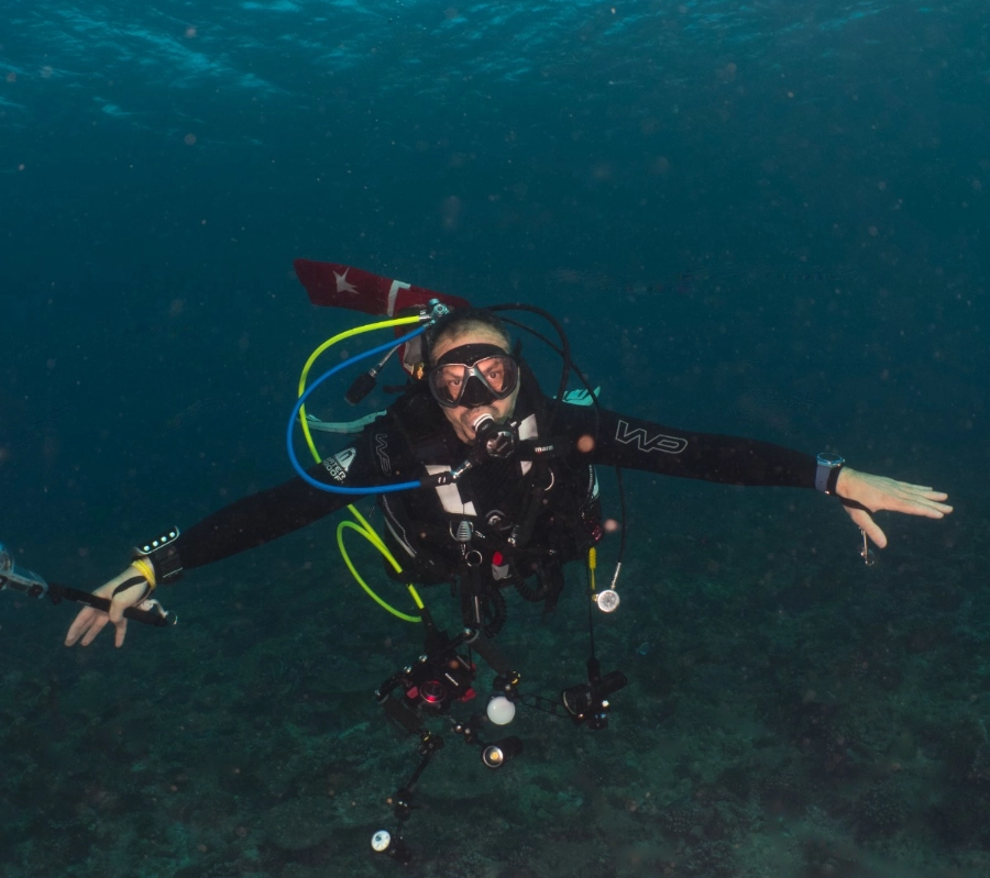 Güney Maldivler Tiger Shark Dalış Turu