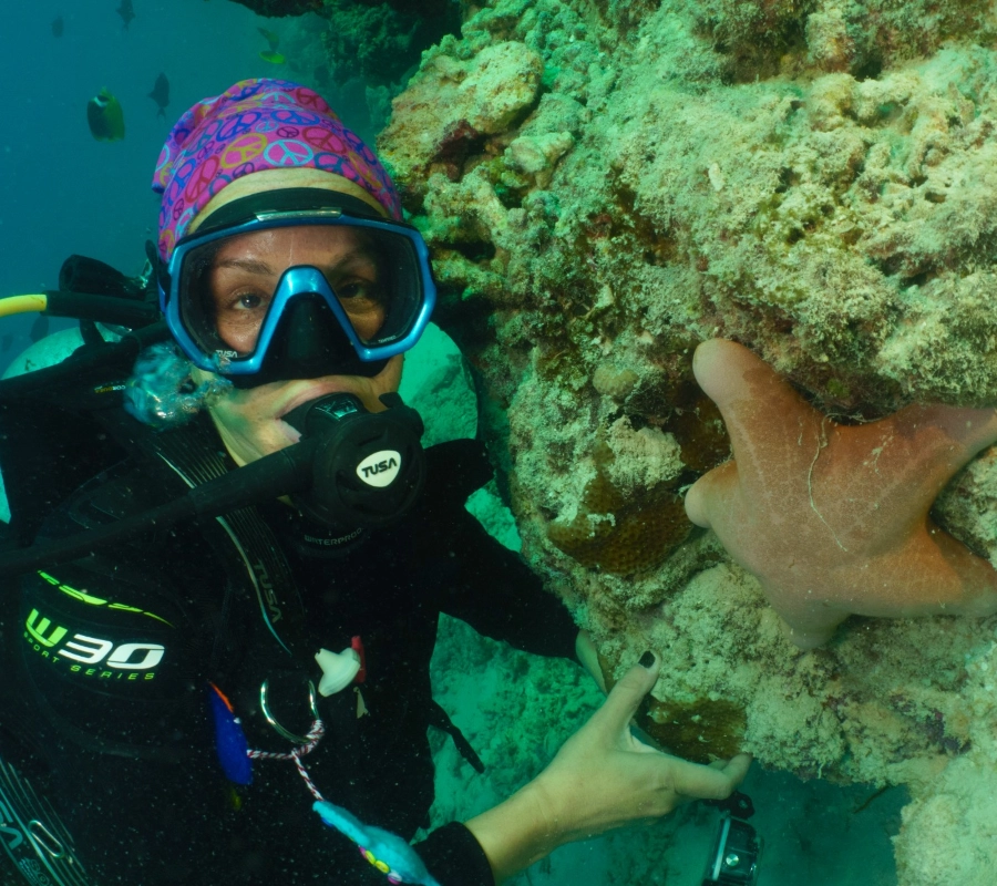 Güney Maldivler Tiger Shark Dalış Turu