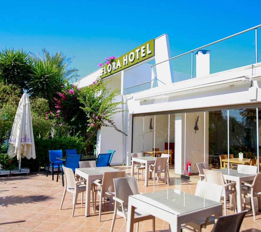 Bodrum Dalış Turu