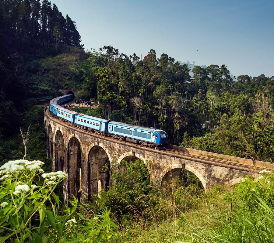 Moto - Sri Lanka Kültür Turu
