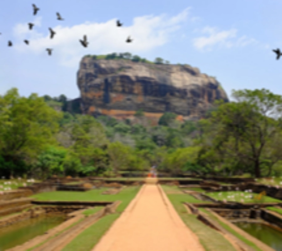 Moto - Sri Lanka Kültür Turu