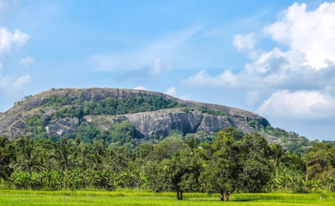 Moto - Sri Lanka Kültür Turu