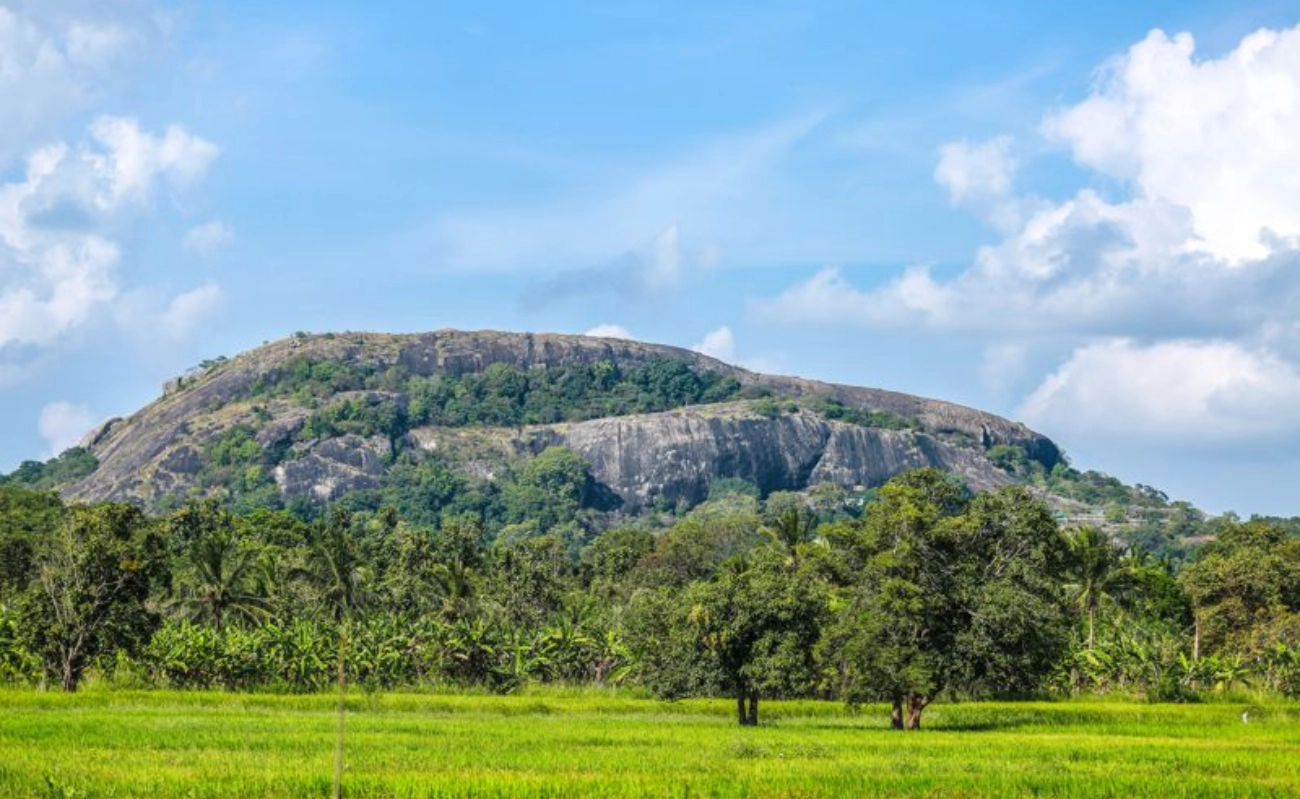 Moto - Sri Lanka Kültür Turu
