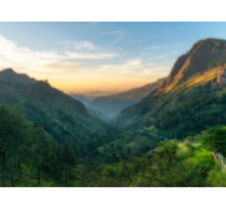 Moto - Sri Lanka Kültür Turu