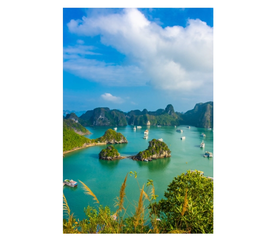 Vietnam End to End Cultural Tour