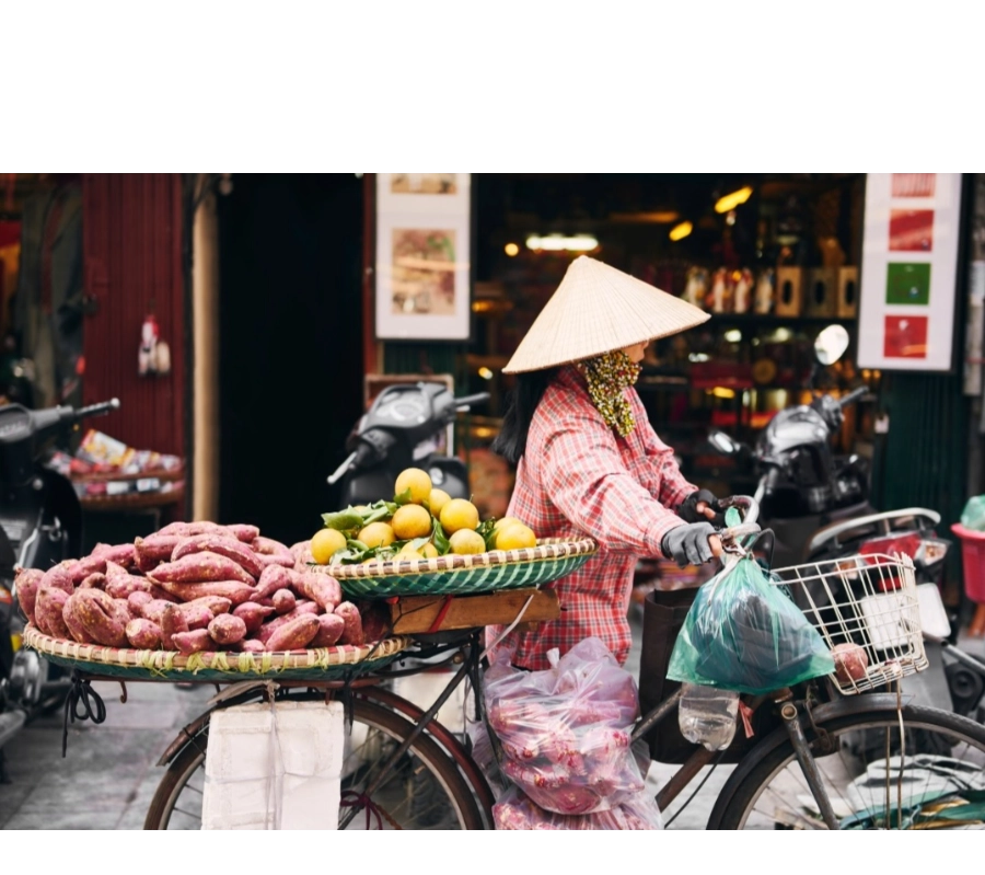 Vietnam End to End Cultural Tour