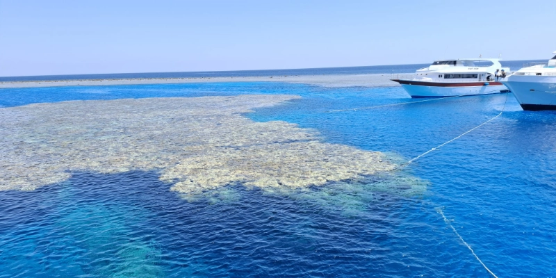 Egypt