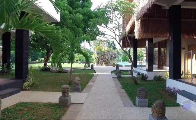 Bali Dalış Turu