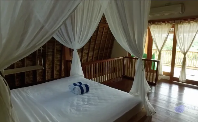 Bali Dalış Turu
