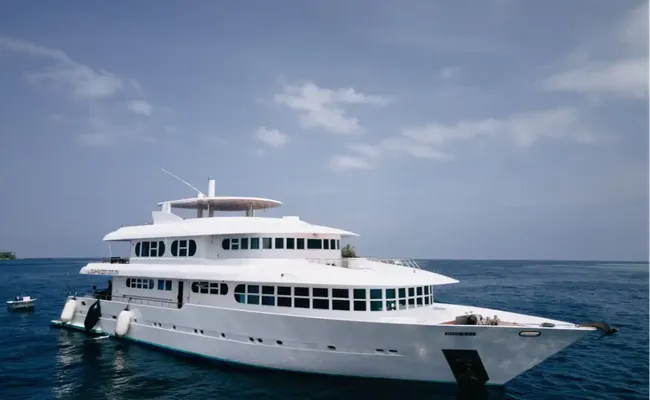 Güney Maldivler Tiger Shark Dalış Turu