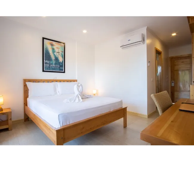 Filipinler Moalboal Dalış Turu