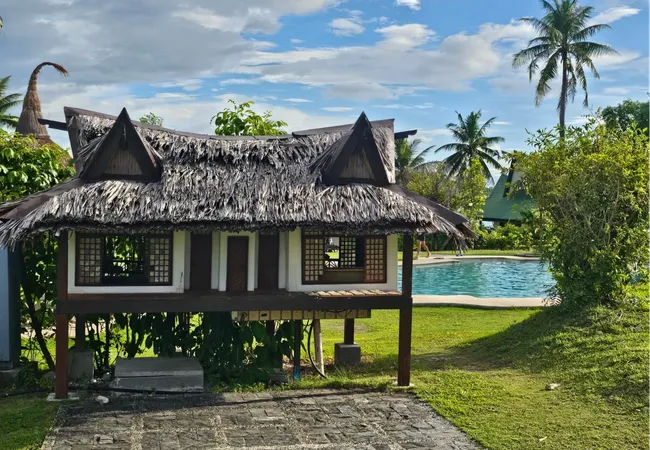 Filipinler Moalboal Dalış Turu