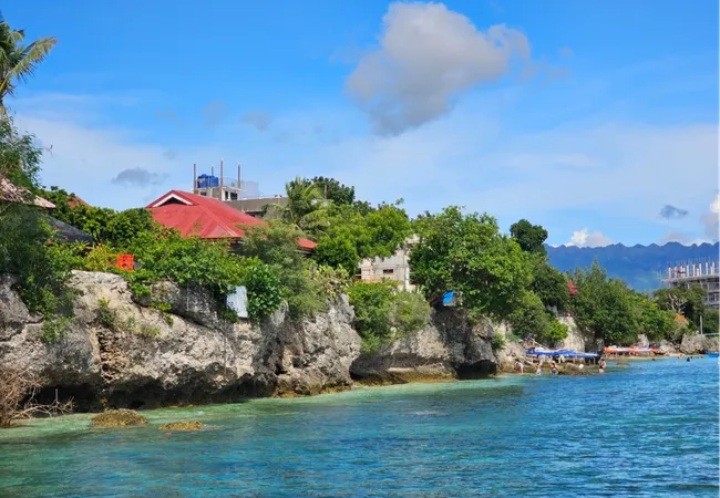 Filipinler Moalboal Dalış Turu