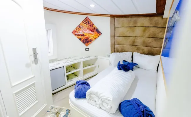 Kızıldeniz St. John Dalış Turu