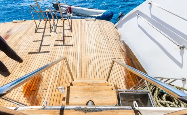 Kızıldeniz St. John Dalış Turu