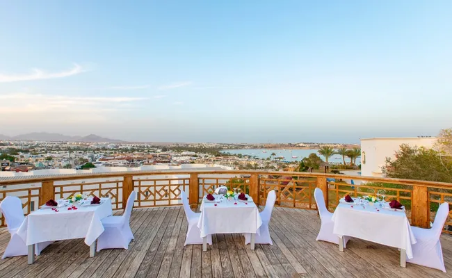 Sharm El Sheikh Dalış Turu