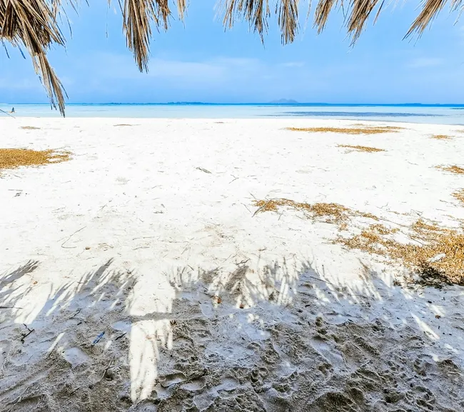 Kenya Dalış & Safari Turu