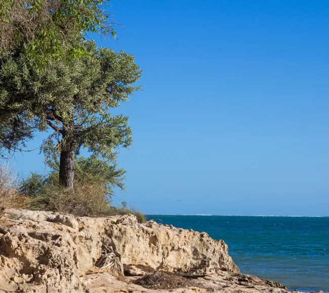 Madagaskar Dalış Turu