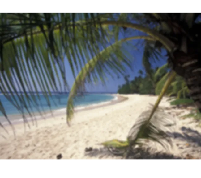 Sri Lanka Kültür Turu