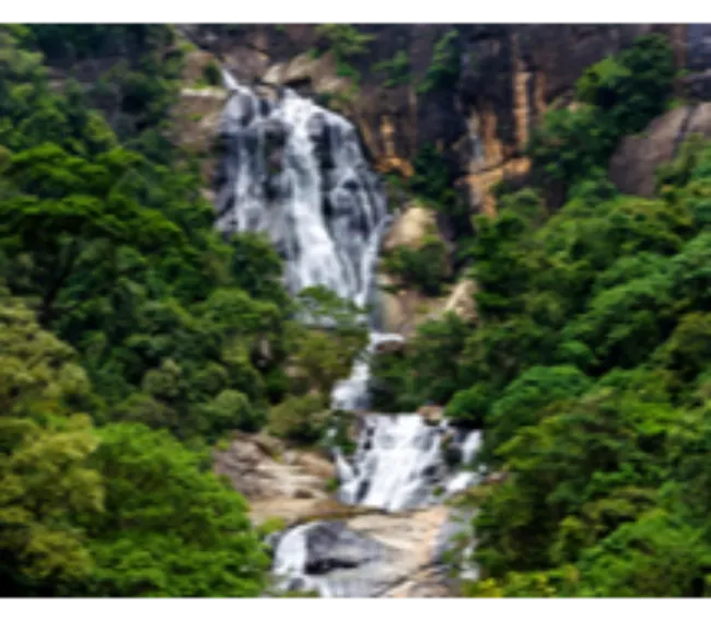 Sri Lanka Kültür Turu