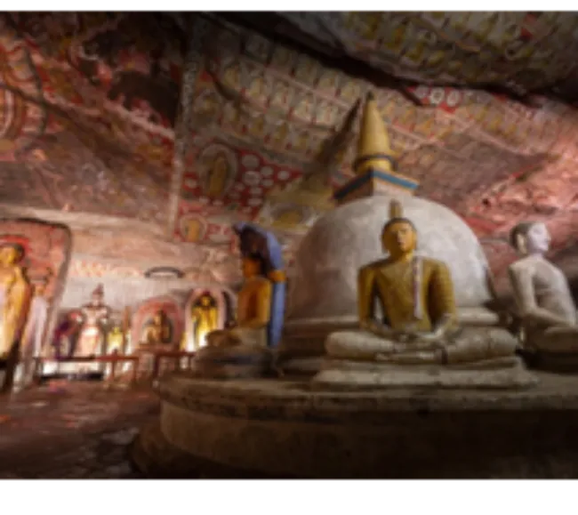 Sri Lanka Kültür Turu