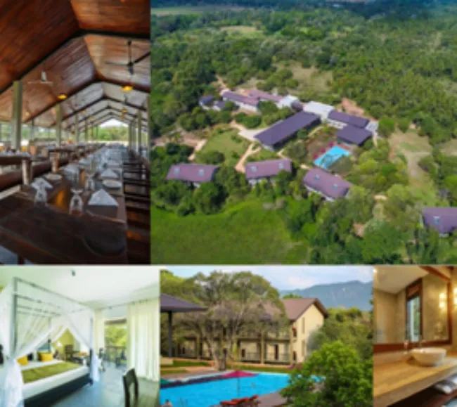 Sri Lanka Kültür Turu