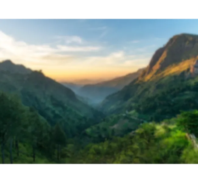 Sri Lanka Kültür Turu