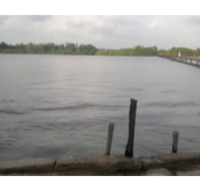 Sri Lanka Kültür Turu