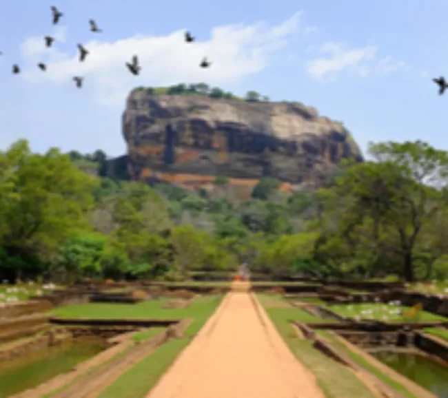 Sri Lanka Kültür Turu