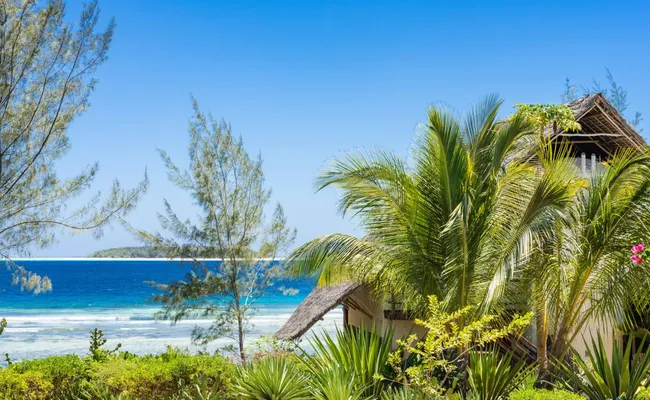 Zanzibar Bayram Tatili Dalış ve Kültür Turu