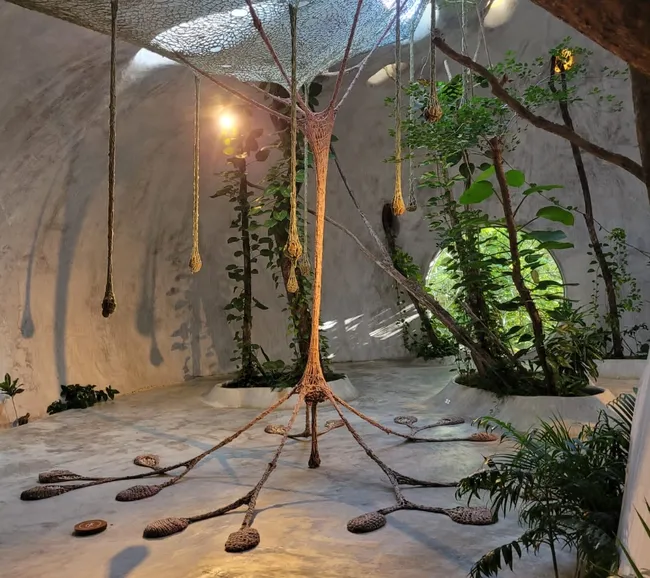 Meksika Dalış ve Kültür Turu