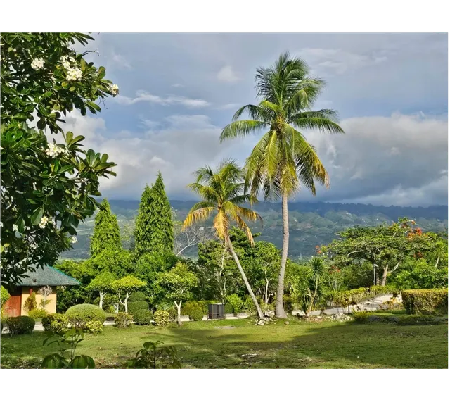 Filipinler Moalboal Dalış Turu