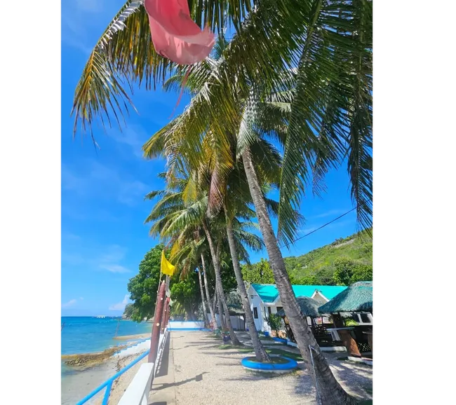 Filipinler Moalboal Dalış Turu