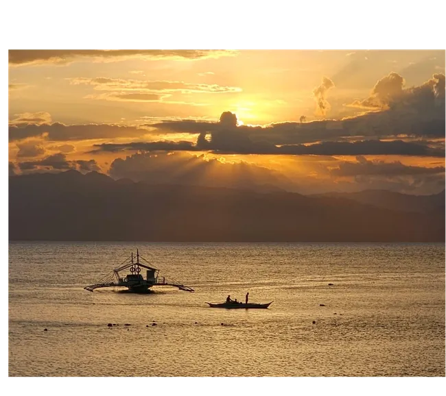 Filipinler Moalboal Dalış Turu