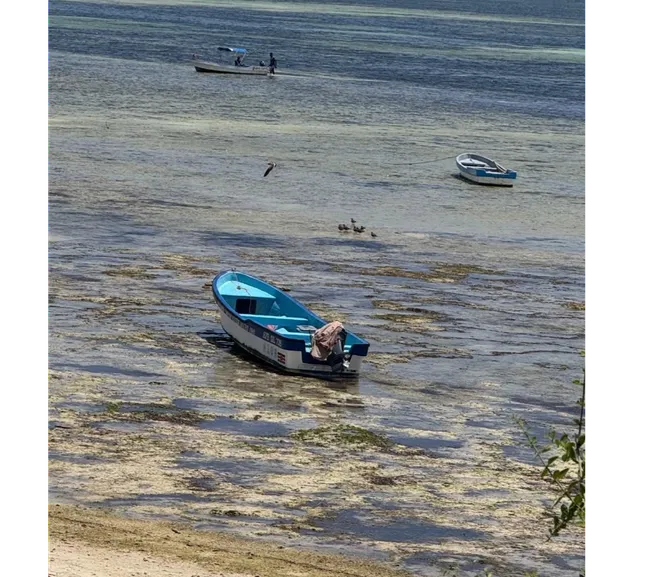 Kenya Dalış & Safari Turu