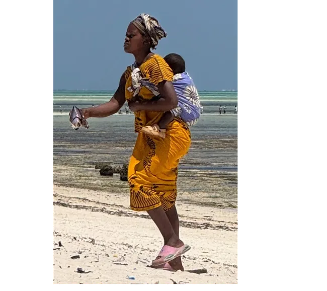 Kenya Dalış & Safari Turu