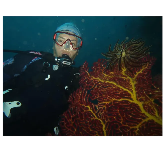 Filipinler Moalboal Dalış Turu 2