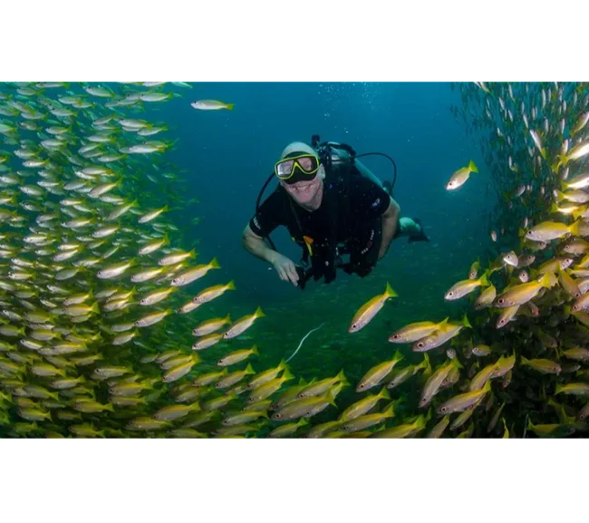 PHUKET DALIŞ TURU