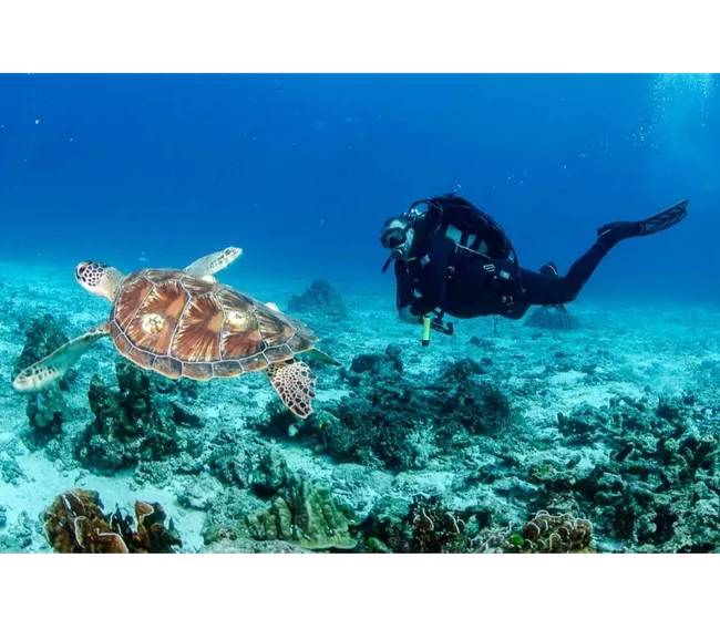 PHUKET DALIŞ TURU