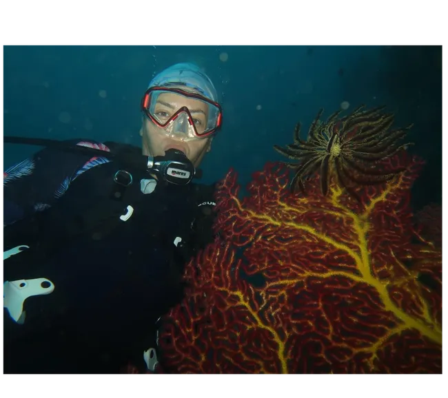 Filipinler Moalboal Dalış Turu