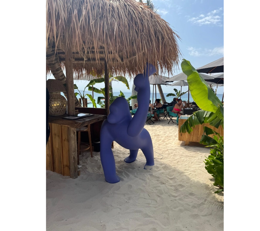 Zanzibar Bayram Tatili Dalış ve Kültür Turu