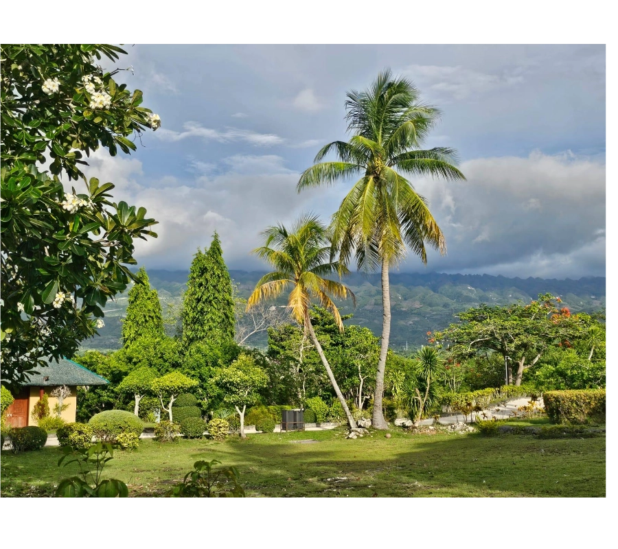 Filipinler Moalboal Dalış Turu