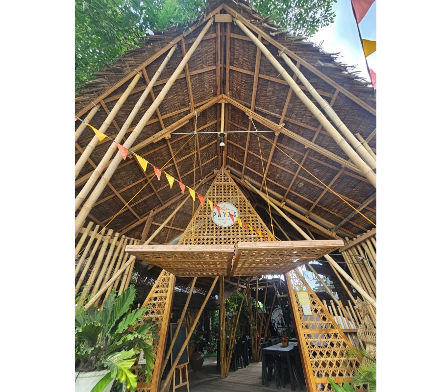 Filipinler Moalboal Dalış Turu