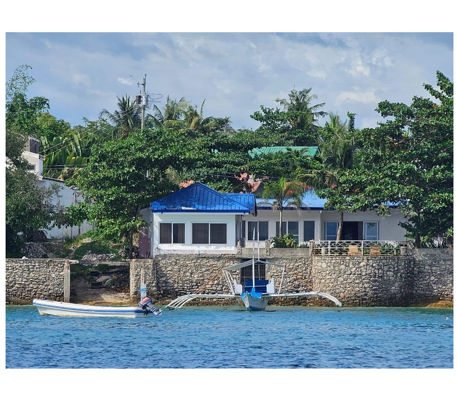 Filipinler Moalboal Dalış Turu