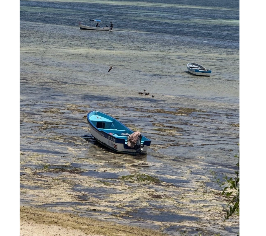 Kenya Dalış & Safari Turu