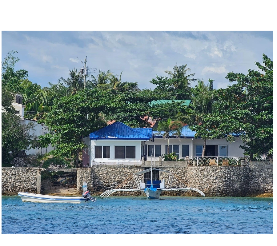 Filipinler Moalboal Dalış Turu 2